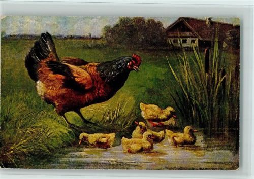 sign Aug. Müller - Serie 366 , gute Erhaltung Huhn