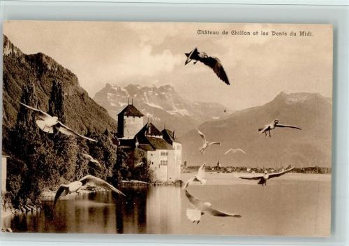Chillon Möven Les Dents du Midi