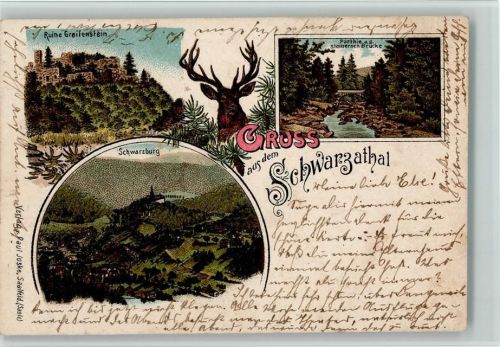 Schwarzburg 1901 Gruss aus - dem Schwarzathal , I AK