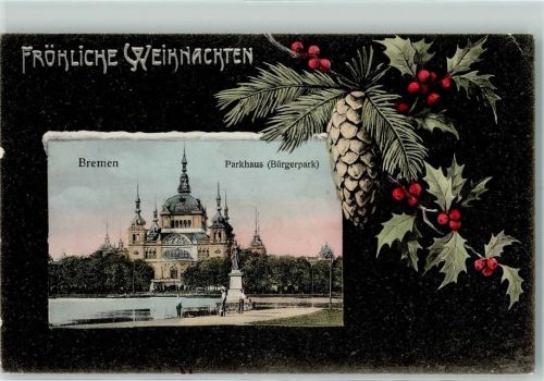28195 W2800 Bremen 1903 - Parkhaus Bürgerpark Ilex Tannenzweig