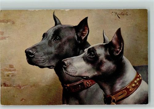 TSN Serie 1336 - sign Reichert - schöne AK von zwei Rassehunde Doggen