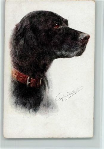 Rassehundekopf ca 1918 AK Hund Künstlerkarte