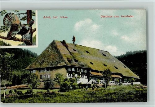 Aha Gasthaus zum Auerhahn ca 1913 AK