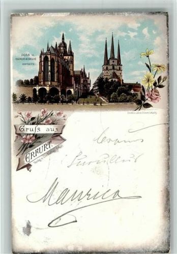 Erfurt 1897 Dom und Severikirche Ostseite Blumen
