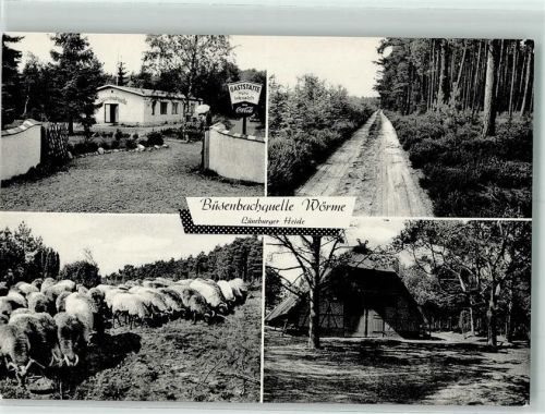 Wörme Gaststätte Büsenbachquelle Heidschnucke