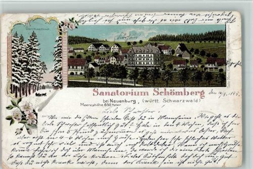 75305 W7540 Neuenbürg , Württ Gebrauchsspuren Gruss aus - Litho, Sanatorium Schömberg für TBC Kranke , Gebr. Metz , 3 Eckknicke