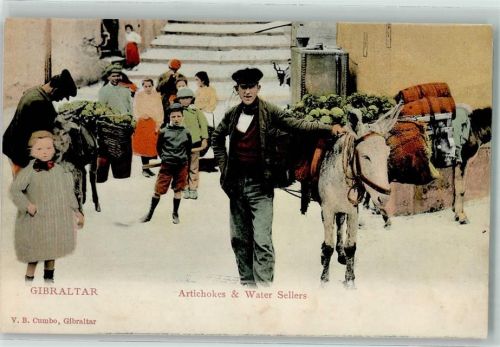 Gibraltar Artichokes and Water Sellers Lastenesel