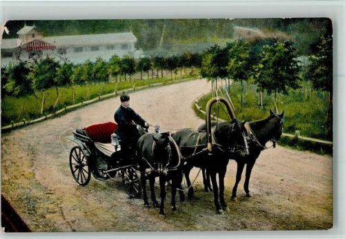 1906 - Dreigespann Kutsche AK Russ. Type