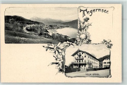Tegernsee Villa Niggl Sonnenblume