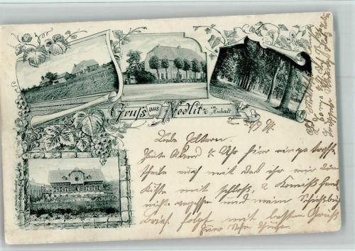 Nedlitz 1897 Gruss aus - Gasthaus, Schule, Villa Neumann, Buchenallee , Verzierung Weintrauben AK