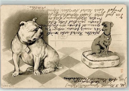 Serie 8127 Hunde Bulldogge AK Edgar Schmidt, Dresden 1925 Prägedruck