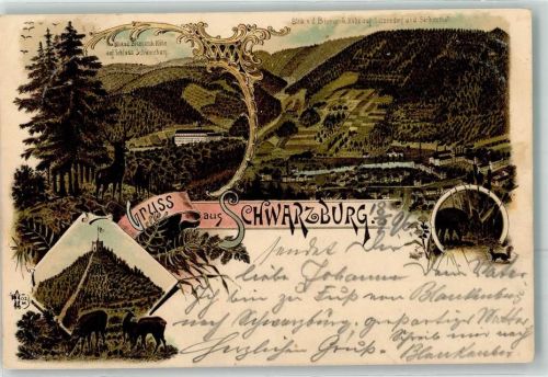 Schwarzburg 1896 Wildschwein Eichhörnchen Hirsch Schloß Schwarzburg