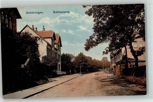 38364 W3338 Schöningen - Salinenweg