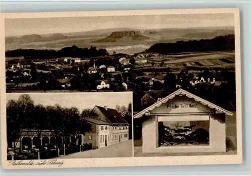 Rathewalde 1926 Büttners Restaurant, Häuschen Frische Forellen, Panorama AK