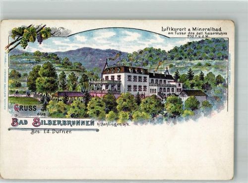 79353 W7836 Bahlingen , Kaiserstuhl Lithographie Gasthaus-Pension Bad Silberbrunnen