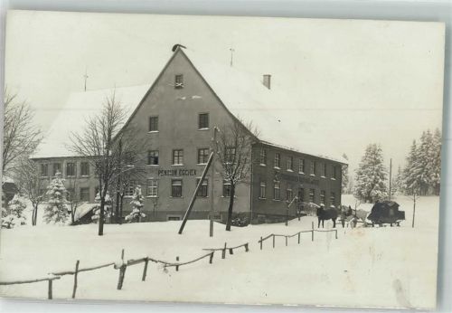 Escheck Gasthaus-Pension Eschek Winter Kutsche