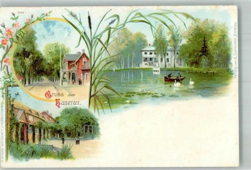 25557 W2215 Hanerau-Hademarschen Lithographie Dorfstrasse Gondelteich Enten Herrenhaus