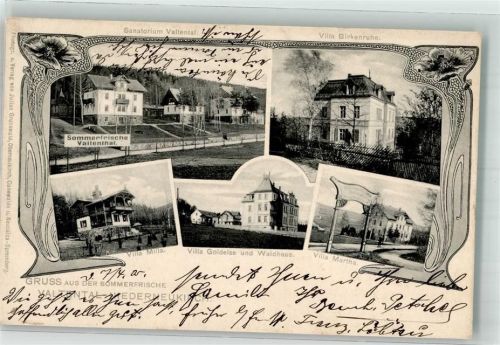 Niederneukirch 1905 Villa Birkenruhe Villa Milla Villa Godelse Villa Martha Sanatorium Valtental