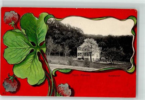 Hann. Münden 1901 Mohnblüte Schäferhof Baumblüte