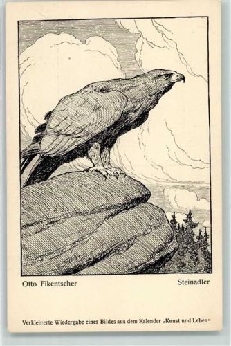 sign. Otto Fikentscher Steinadler Raubvögel AK