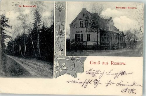 17322 O2101 Rossow b Pasewalk 1912 - Tannenwald Waldweg Forsthaus Rossow