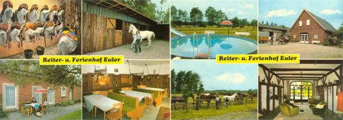 Wulfenau Reiterhof Euler Pferde Schwimmbad Innen-und Aussenansicht Klappkarte