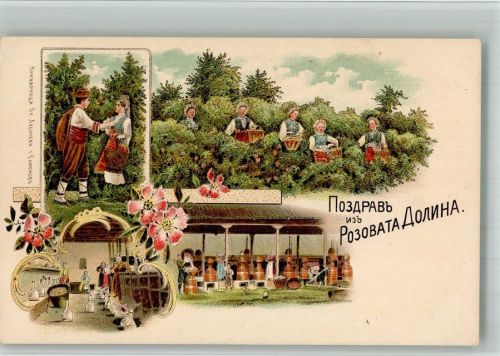 Tracht Rosenernte Lithographie