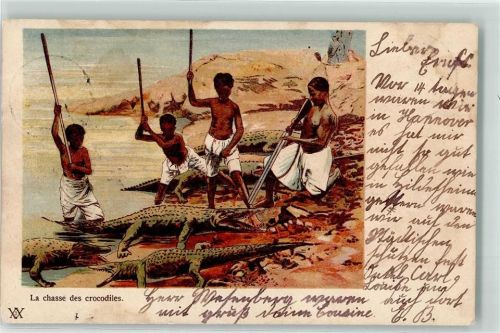1903 Le chasse des crocodiles AK