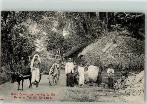 Colombo - Road Scene on the way to the Kelaniya Tempel