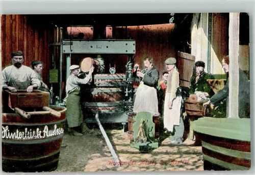 1905 Wiegen des Mostes der Auslese Weinpresse im Einsatz Rhein. Kunst-Verlag