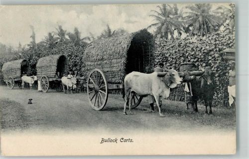 Colombo 1909 Bullock Carts Ort lt. Stempel