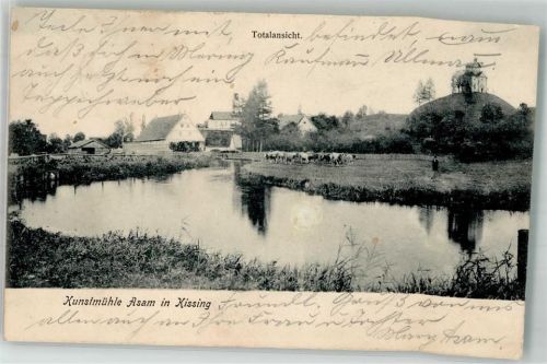 Kissing Kunstmühle Asam Kühe