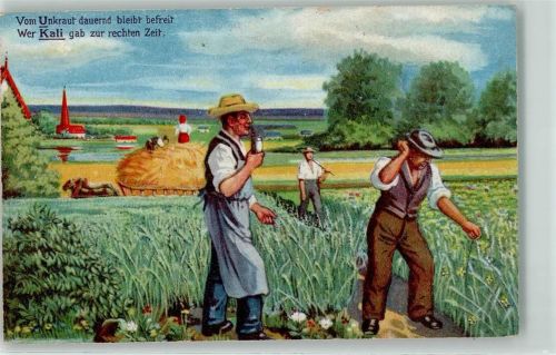 Kalisyndikat gegen Unkraut Landwirtschaft AK