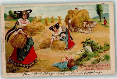 1907 Frauen bei der Ährenernte Landwirtschaft Tiergespann