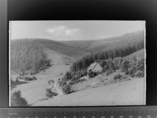 Willingen