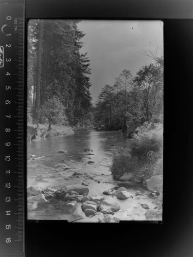 34537 W3590 Odershausen GLASNEGATIV Fluss