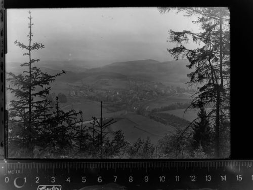 35285 W3573 Lehnhausen , Forsthaus GLASNEGATIV
