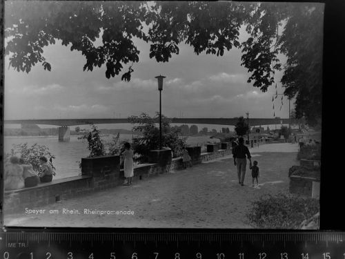 Speyer Rheinpromenade