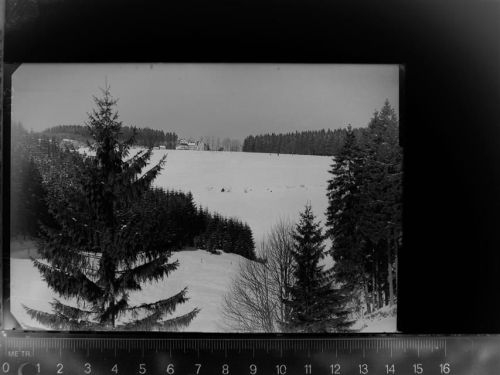 59955 W5788 Neuastenberg GLASNEGATIV