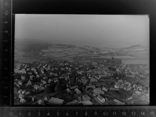 Dassel