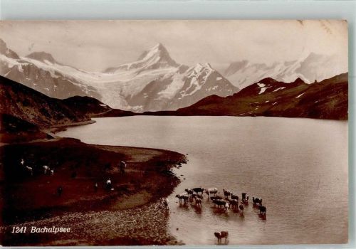 1924 Bachalpsee