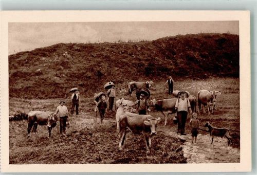 Alp Abfahrt Ziege Incavo Gravure Brunner u. Co. Nr. 10
