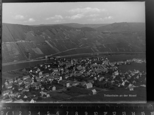 54349 W5501 Trittenheim GLASNEGATIV