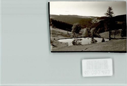 Prechtal See