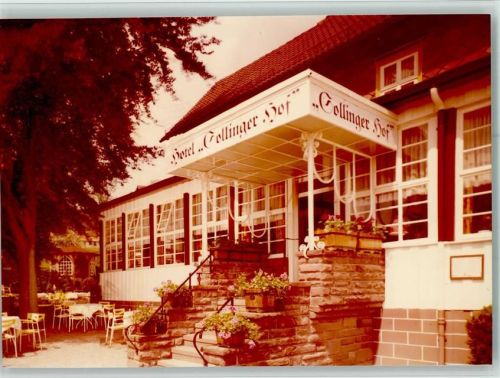 Neuhaus Hotel Sollinger Hof