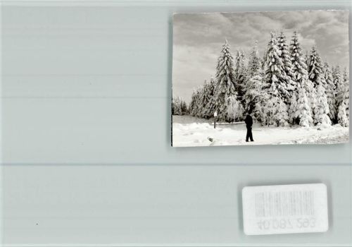 Neuhaus Verschneite Tannen