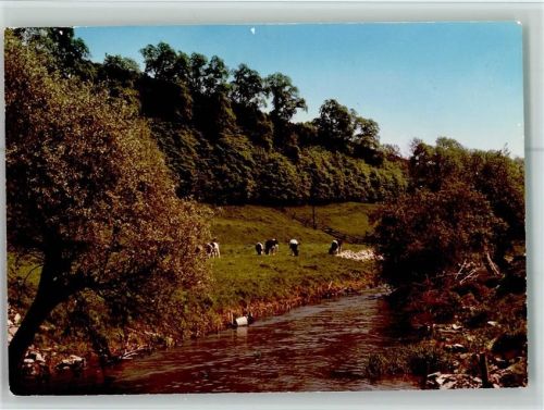 Brakel grasende Kühe am Bach
