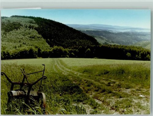 Springen Egge im Kornfeld