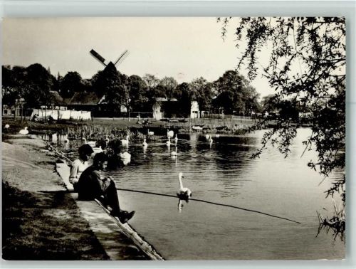 Werder An der Havel Schwäne Windmühle