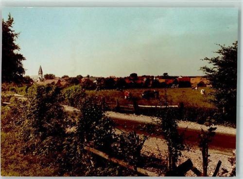 Meerhof Kühe Rotbunte
